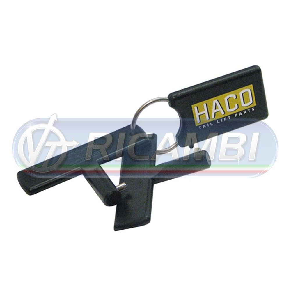 1 - CHIAVE SPONDA DHOLLANDIA IN COPPIA 1 PERNO METALLO