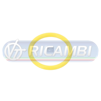 1 - GUARNIZIONE CONDENSATORE CLIMA 507