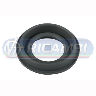 1 - GUARNIZIONE REGISTRO FRENO TAMBURO FH 1 FH 2 FM 1 FM 2