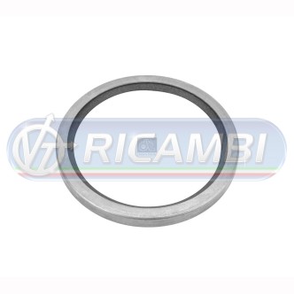 1 - GUARNIZIONE TERMOSTATO D12A D12B D12C 710