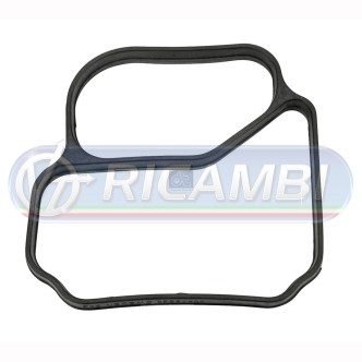 1 - GUARNIZIONE TUBAZIONE ACQUA FM D9 636