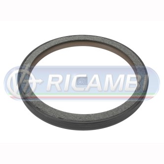 1 - PARAOLIO ALBERO MOTORE FH FM