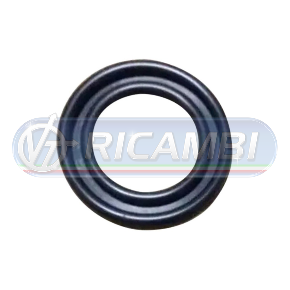 1 - GUARNIZIONE SCAMBIATORE CALORE FH 2 D13 483