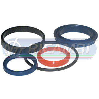 1 - KIT GUARNIZIONI Ø35/60 SINGOLO EFFETTO DHOLLANDIA