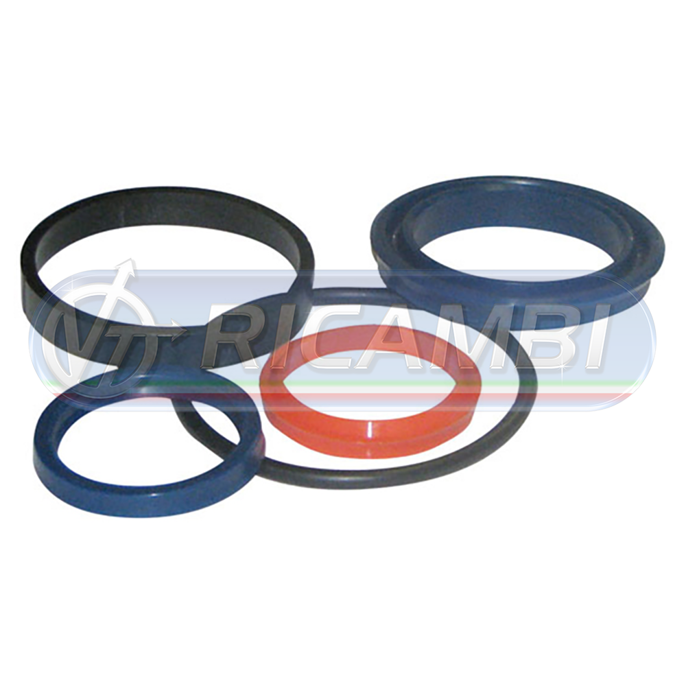 1 - KIT GUARNIZIONI Ø35/60 SINGOLO EFFETTO DHOLLANDIA