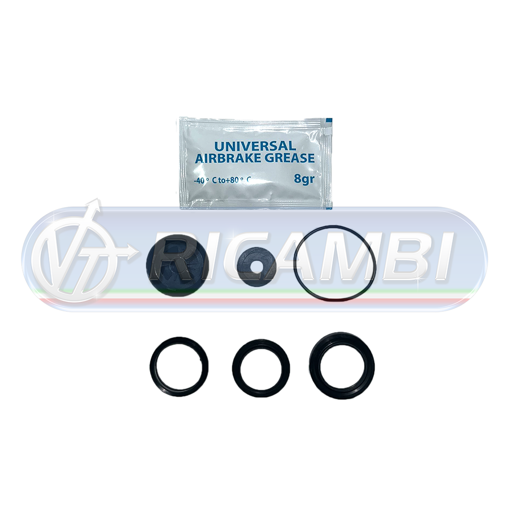 1 - KIT REVISIONE VALVOLA PROTEZIONE MANOMETRI