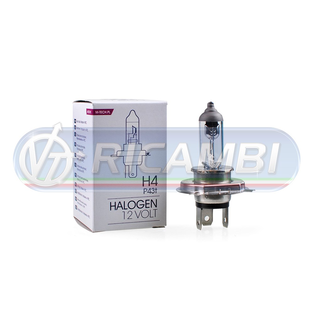 1 - LAMPADINA H4 60/55W 12V