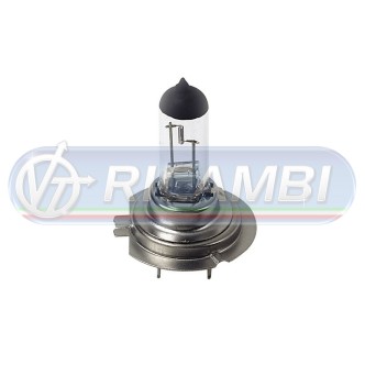 1 - LAMPADINA H7 12V 100W