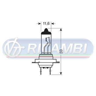 1 - LAMPADINA H7 12V 100W