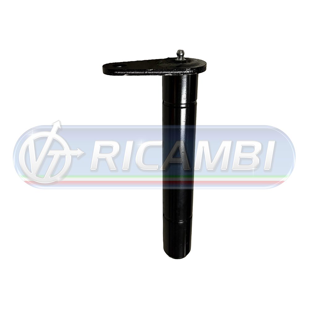 1 - PERNO SPONDA DIAM.30X200 DHOLLANDIA