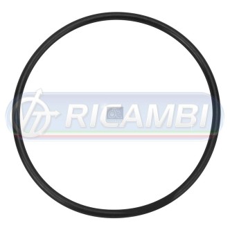 1 - GUARNIZIONI INTERCOOLER FH 4 246