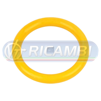 1 - GUARNIZIONE CONDENSATORE CLIMA 765