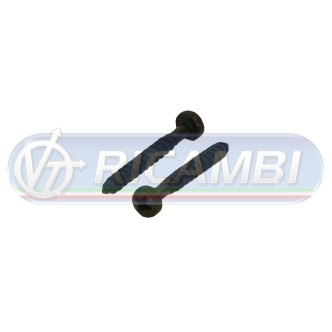 1 - GEMMA POSTERIORE CORTA DX-SX FH 2