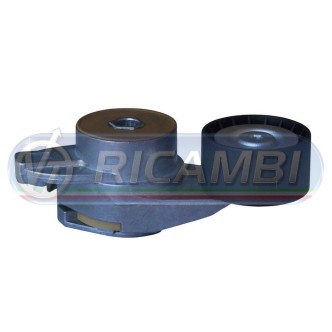 1 - TENDICINGHIA FH 13 FM 13 276