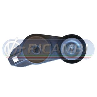 1 - TENDICINGHIA FH 13 FM 13 276