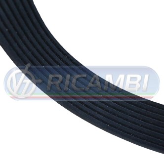 1 - CINGHIA 8PK1005
