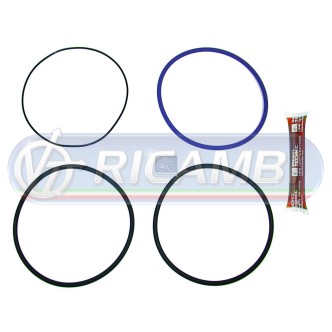 1 - ANELLI CANNE MOTORE FH 12 FM 12 950