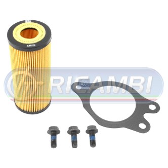 1 - FILTRO CAMBIO A BAGNO C/GUARNIZIONE 176