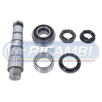 1 - KIT PERNI FUSI C/O CUSCINETTO FL6-FH 12/16