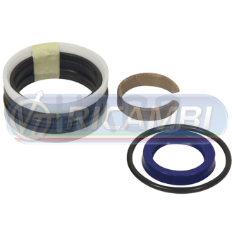 1 - KIT GUARNIZIONI Ø30/60 DOPPIO EFFETTO ANTEO