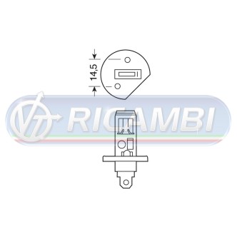 1 - LAMPADINA H1 12V 100W
