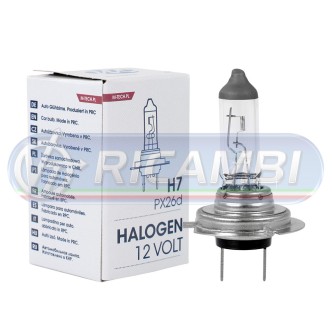 1 - LAMPADINA H7 12V 55W