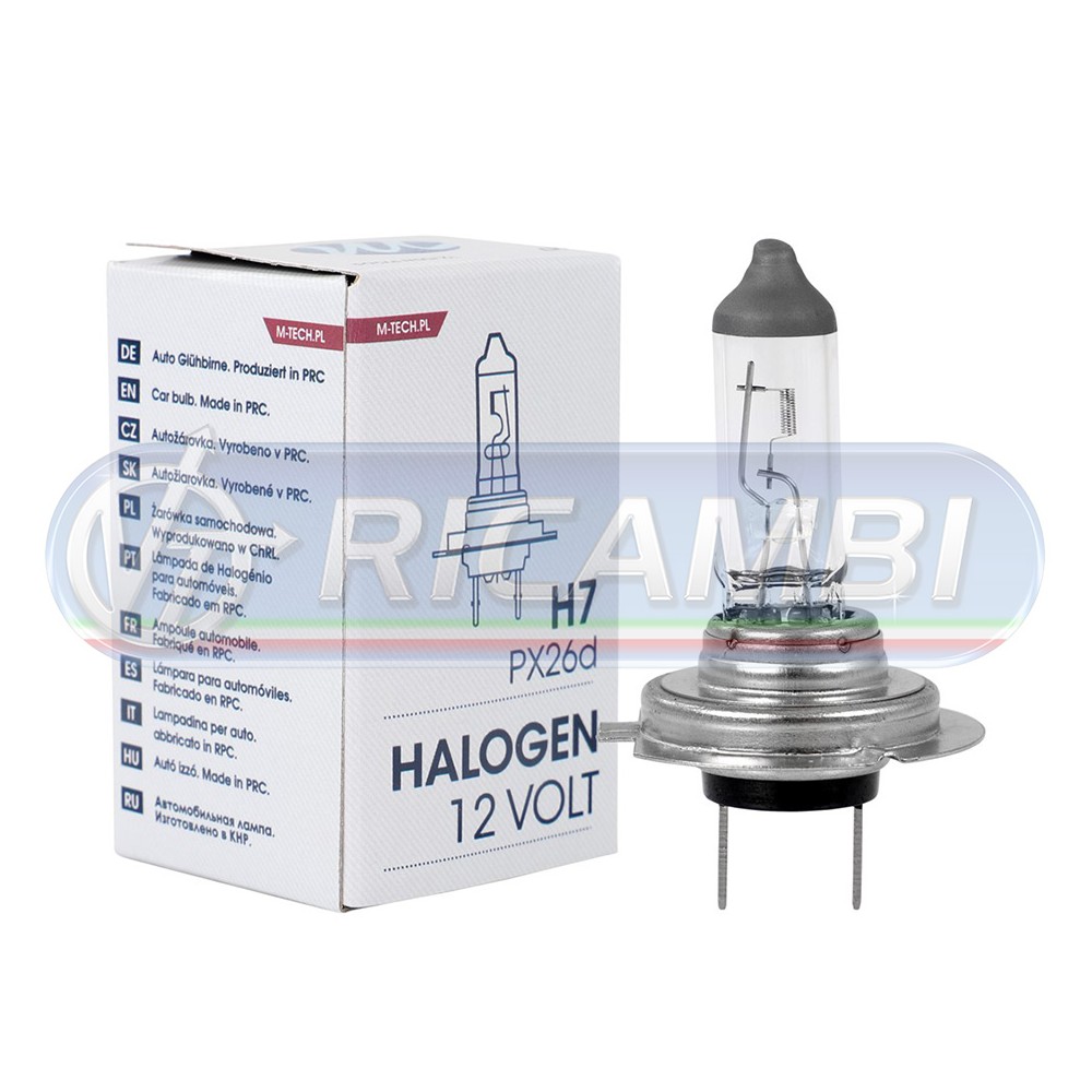 1 - LAMPADINA H7 12V 55W