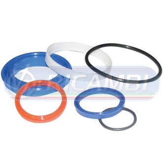 1 - KIT GUARNIZIONI Ø40/70 SINGOLO EFFETTO DHOLLANDIA