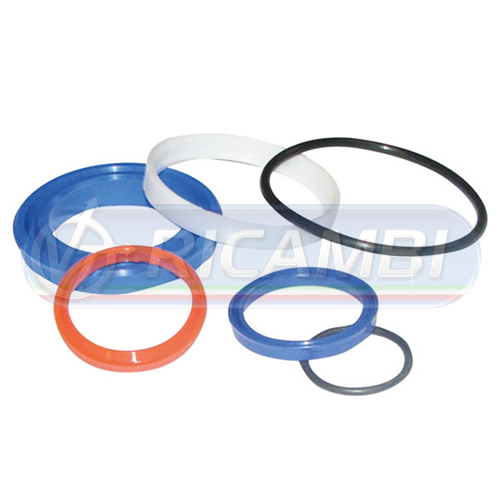 1 - KIT GUARNIZIONI Ø40/70 SINGOLO EFFETTO DHOLLANDIA