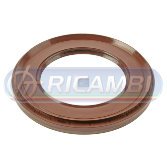 1 - PARAOLIO DIFFERENZIALE FH 1 RAEV90-91 701