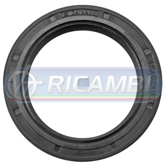 1 - PARAOLIO MOZZO POMPA C FH 1 480