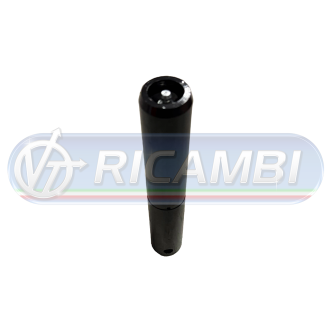 1 - PERNO SPONDA DIAM.30X180 DHOLLANDIA