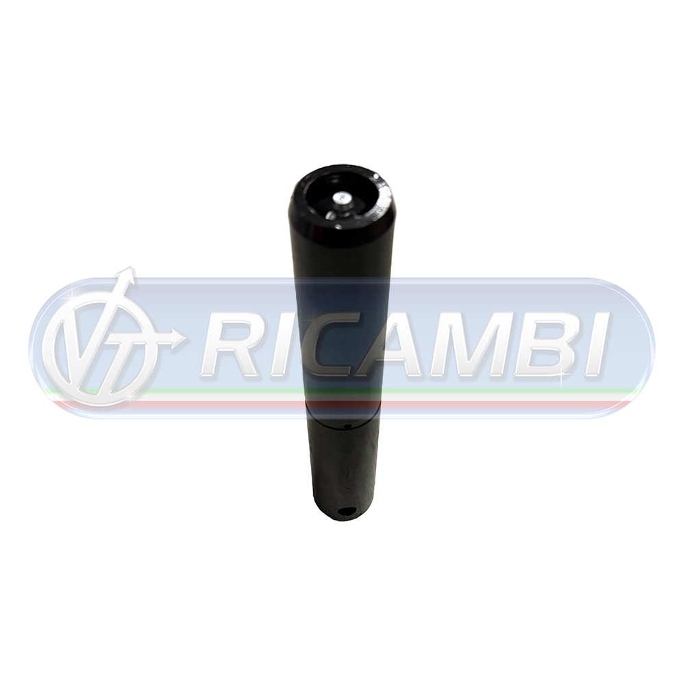 1 - PERNO SPONDA DIAM.30X180 DHOLLANDIA