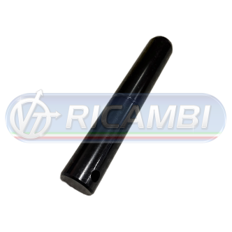 1 - PERNO SPONDA DIAM.30X180 DHOLLANDIA