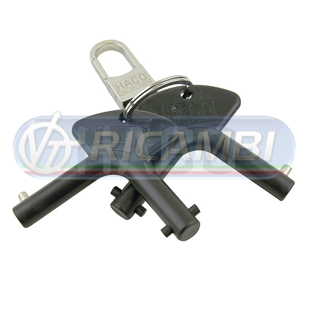 1 - CHIAVE SPONDA DHOLLANDIA IN COPPIA