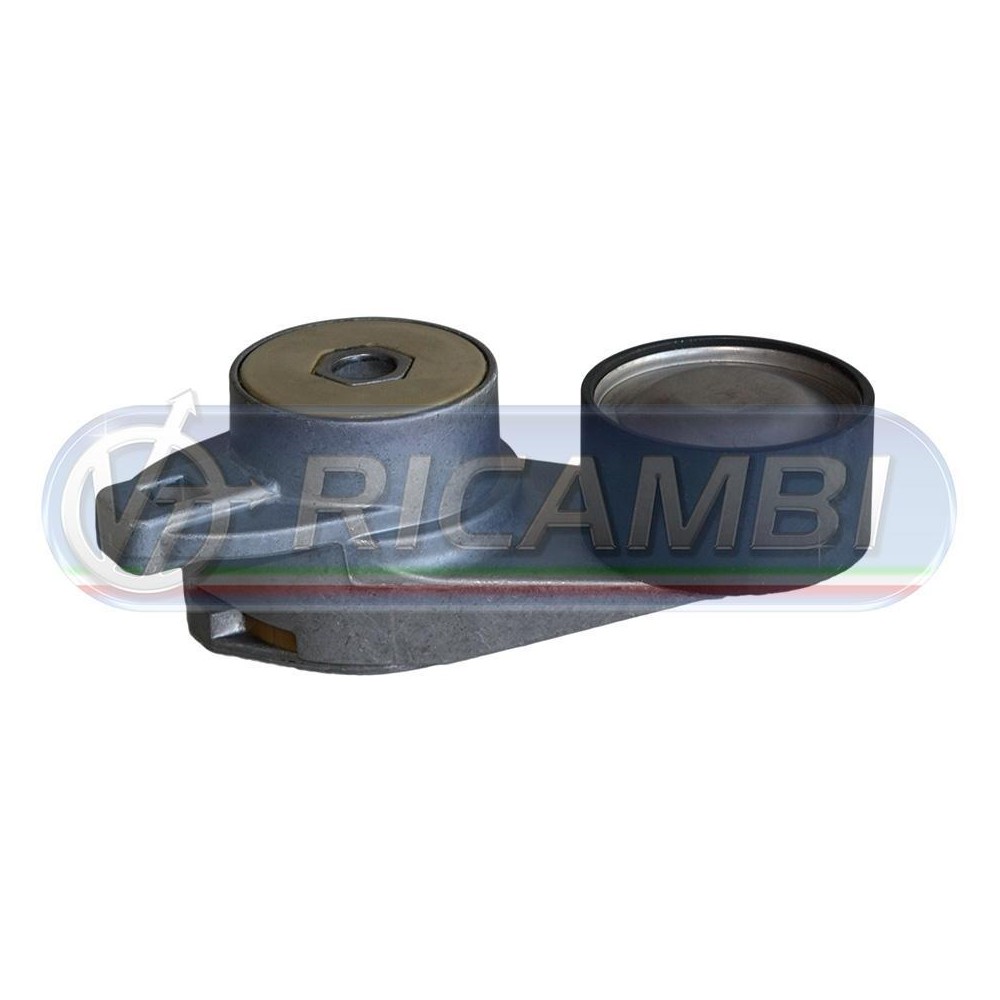 1 - TENDICINGHIA FH 12 FM 10-12 889