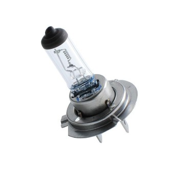 1 - LAMPADINA H7 24V 70W HEAVY DUTY