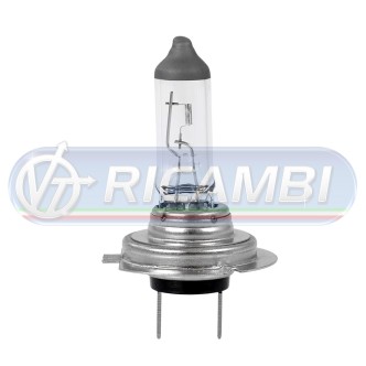 1 - LAMPADINA H7 12V 55W