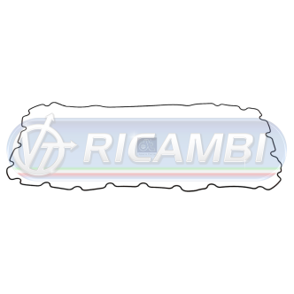 1 - GUARNIZIONE COPERCHIO LATERALE D13A - B