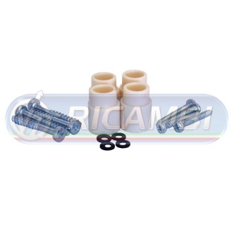 1 - GEMMA POSTERIORE SP. VIVI DX-SX FH 1 FM 1