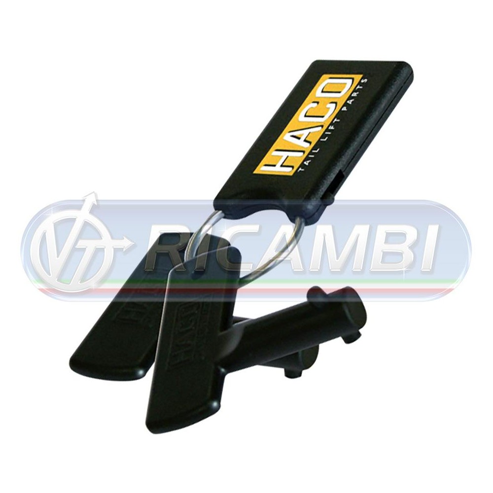 1 - CHIAVE SPONDA DHOLLANDIA IN COPPIA 2 PERNI PLASTICA