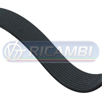 1 - CINGHIA 10PK1150