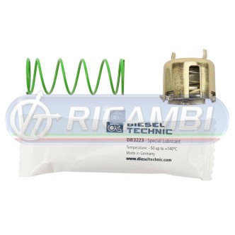 1 - BLOCCAGGIO REGISTRO FRENO A TAMBURO FH 12 FM 12 DX