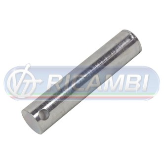 1 - PERNO SPONDA DIAM.30X138 ANTEO