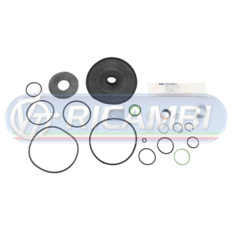 1 - KIT REVISIONE VALVOLA VUOTO CARICO 3090924