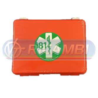 2 - CASSETTA PRONTO SOCCORSO DM388 d.lgs 81/08