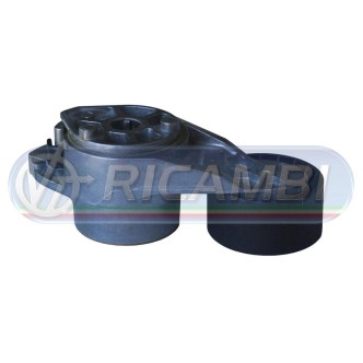 2 - TENDICINGHIA FH 13 FM 13 276