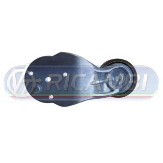 2 - TENDICINGHIA FH 13 FM 13 717