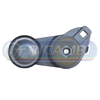 2 - TENDICINGHIA FH 12 FM 10-12 889