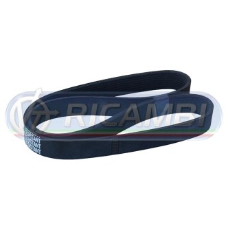 2 - CINGHIA 10PK1512